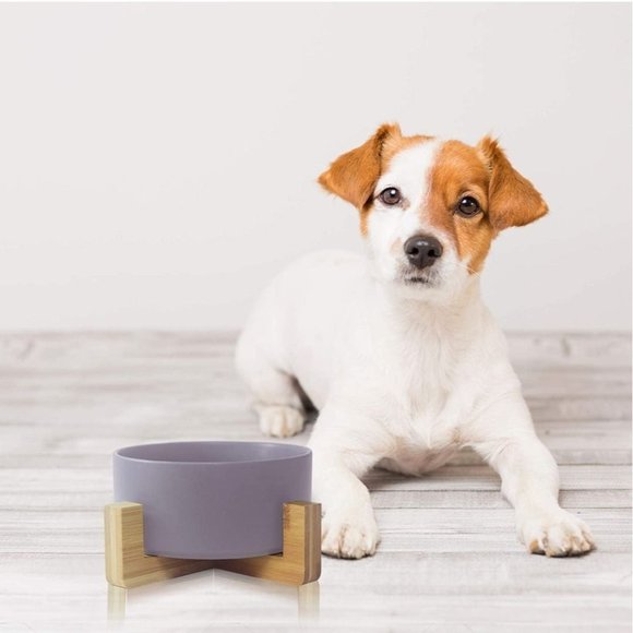 Ceramic Bowl For Pets, Dogs Or Cats - Picture 2 of 6